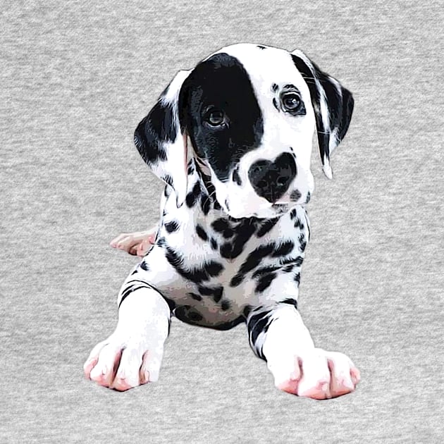 Dalmatian Puppy Dog by Elarex